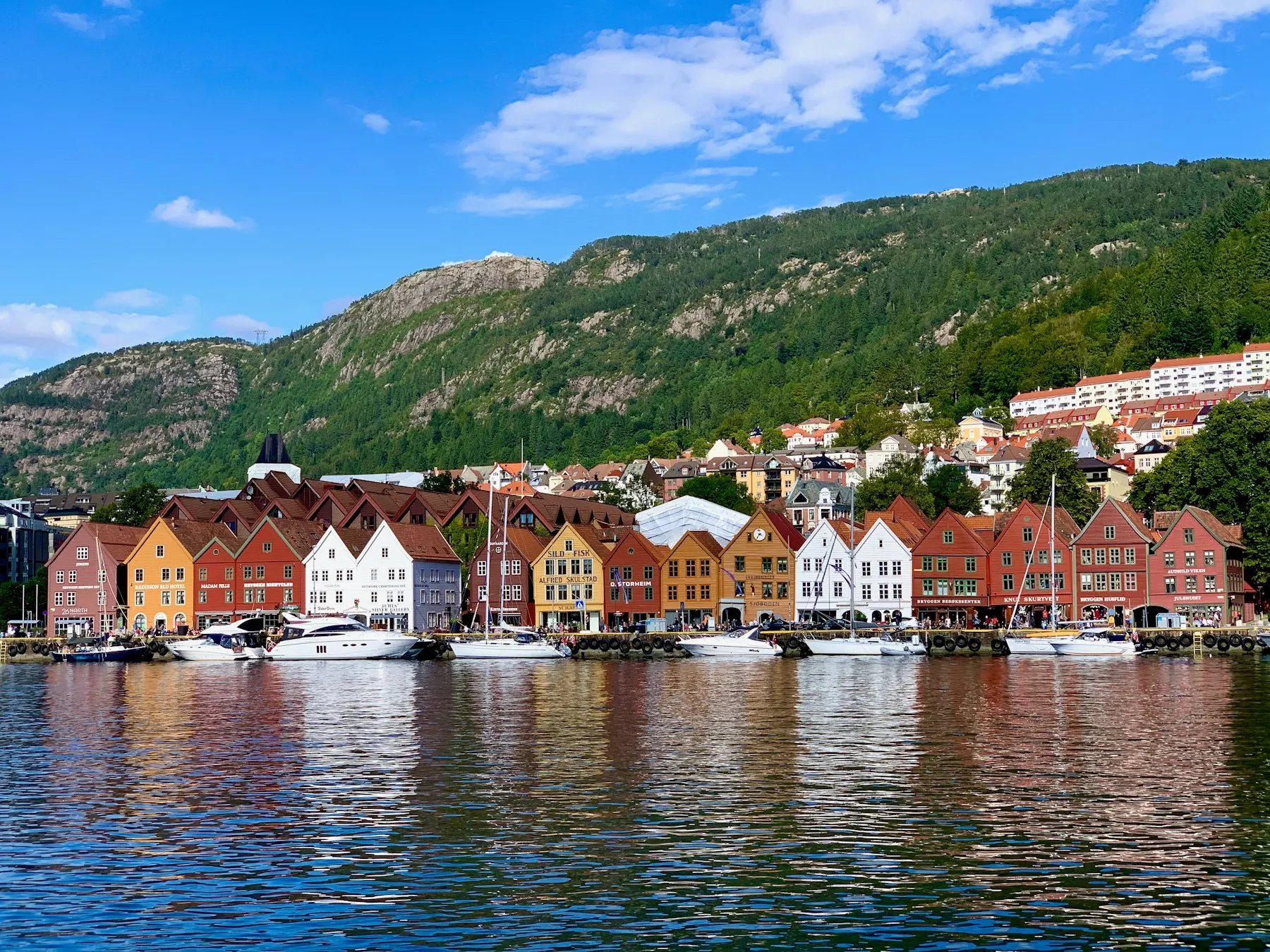 The colourful Bryggen wharf seen across the water on a sunny day